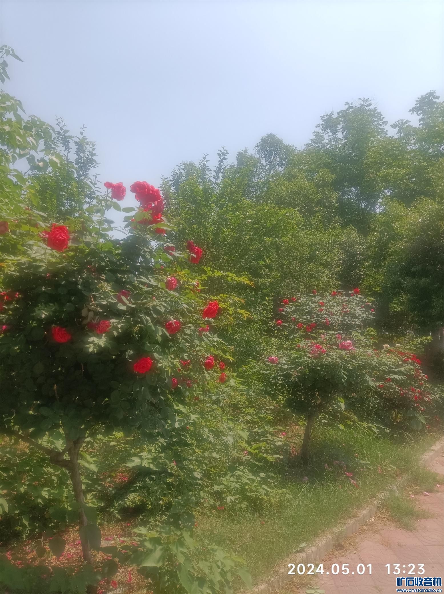 ½ļ (2)1714543010647.jpg