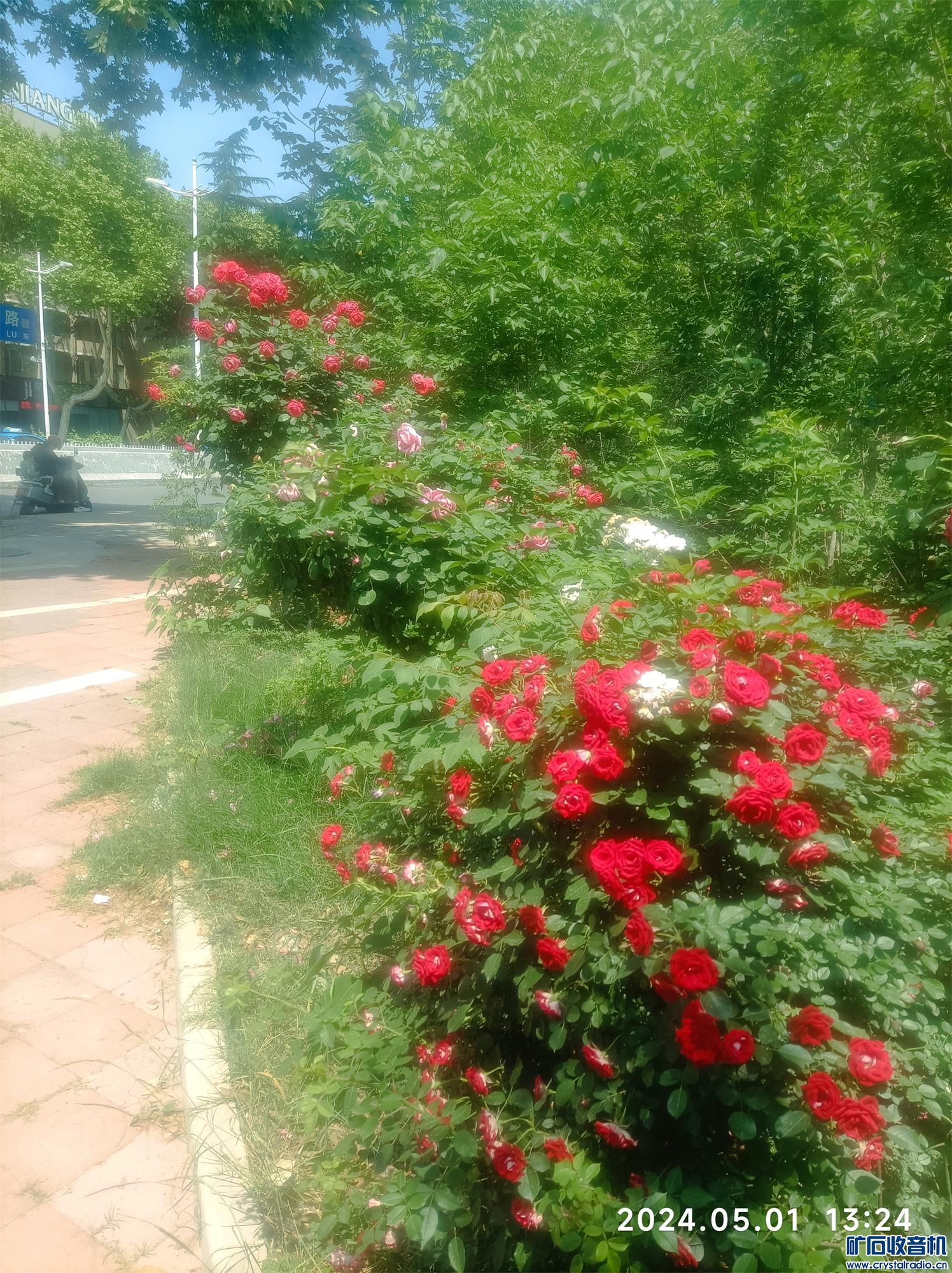 ½ļ (2)1714543010607.jpg