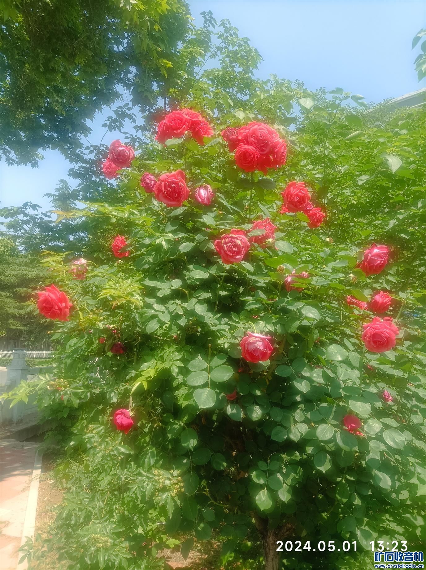 ½ļ (2)1714543010637.jpg