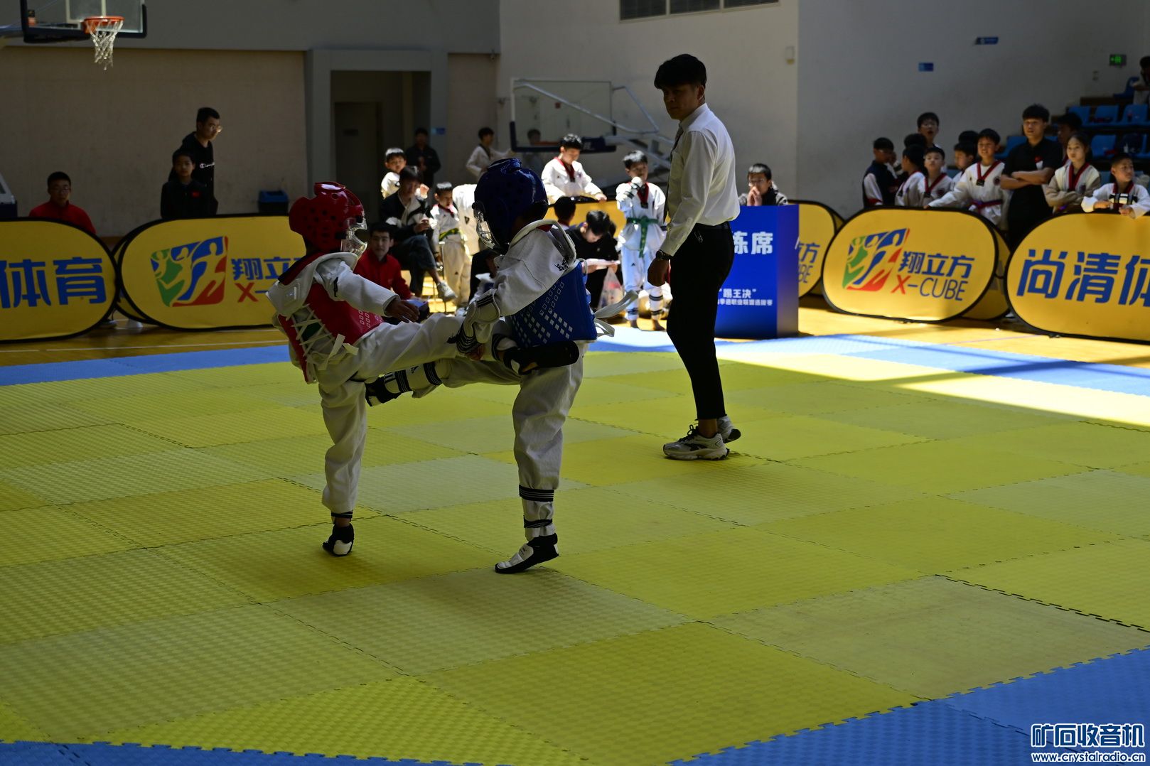_DSC8033.JPG