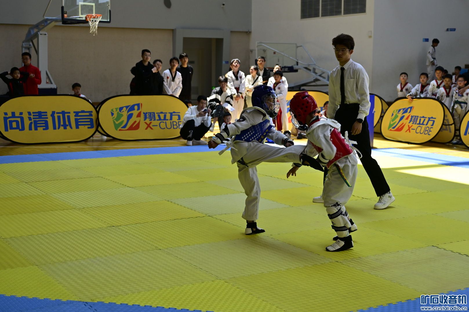_DSC8102.JPG