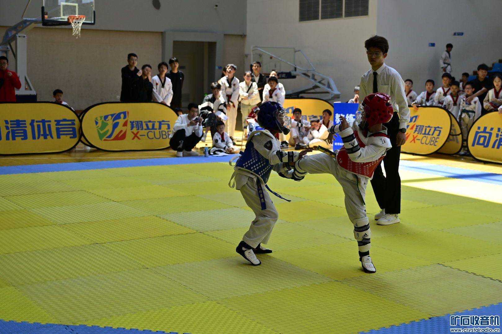 _DSC8106.JPG