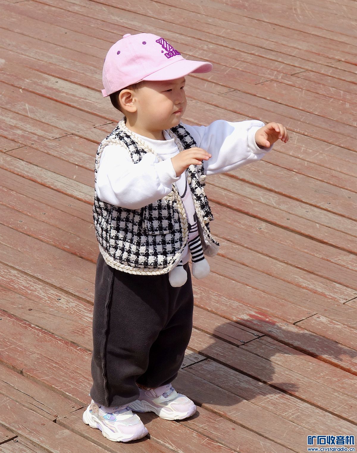 DSC00476.jpg