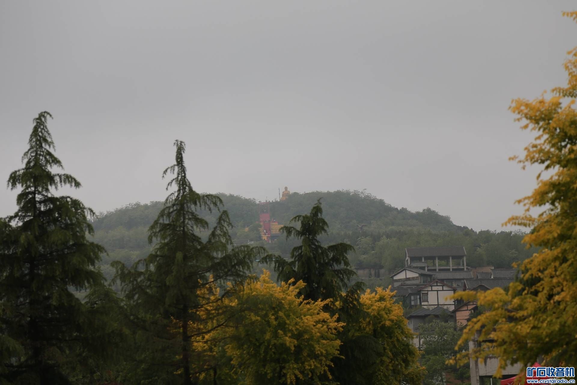 463A0700.jpg