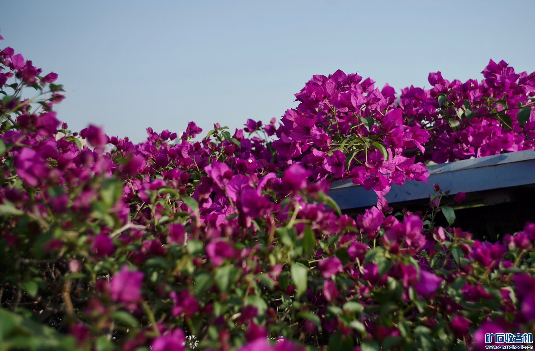 777541C2-1A82-49F0-9811-B93587A1E649.jpeg