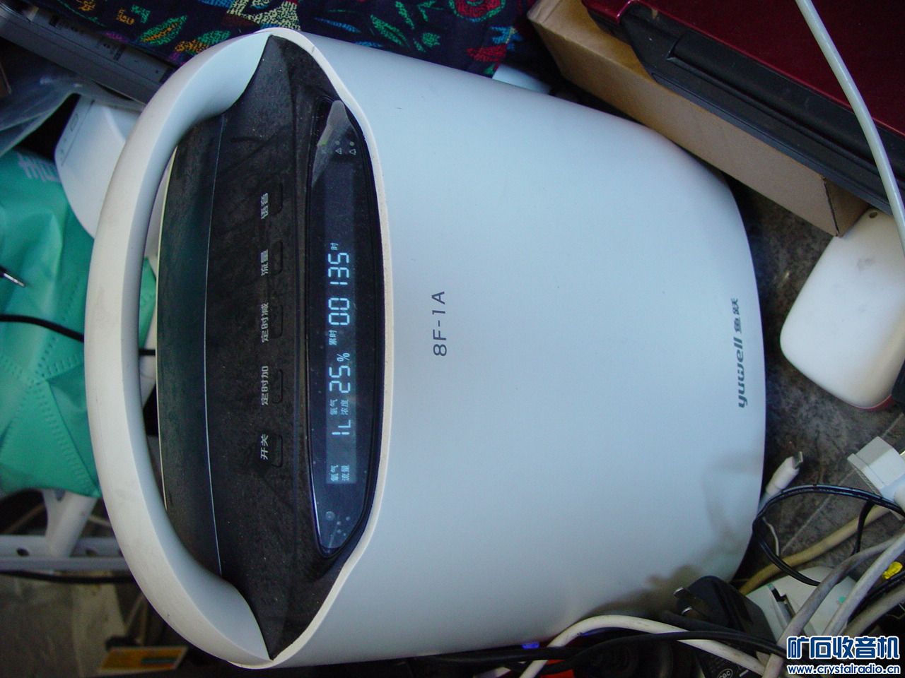 DSC00312.JPG