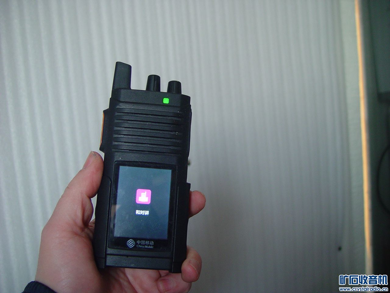 f3t345 (2).jpg