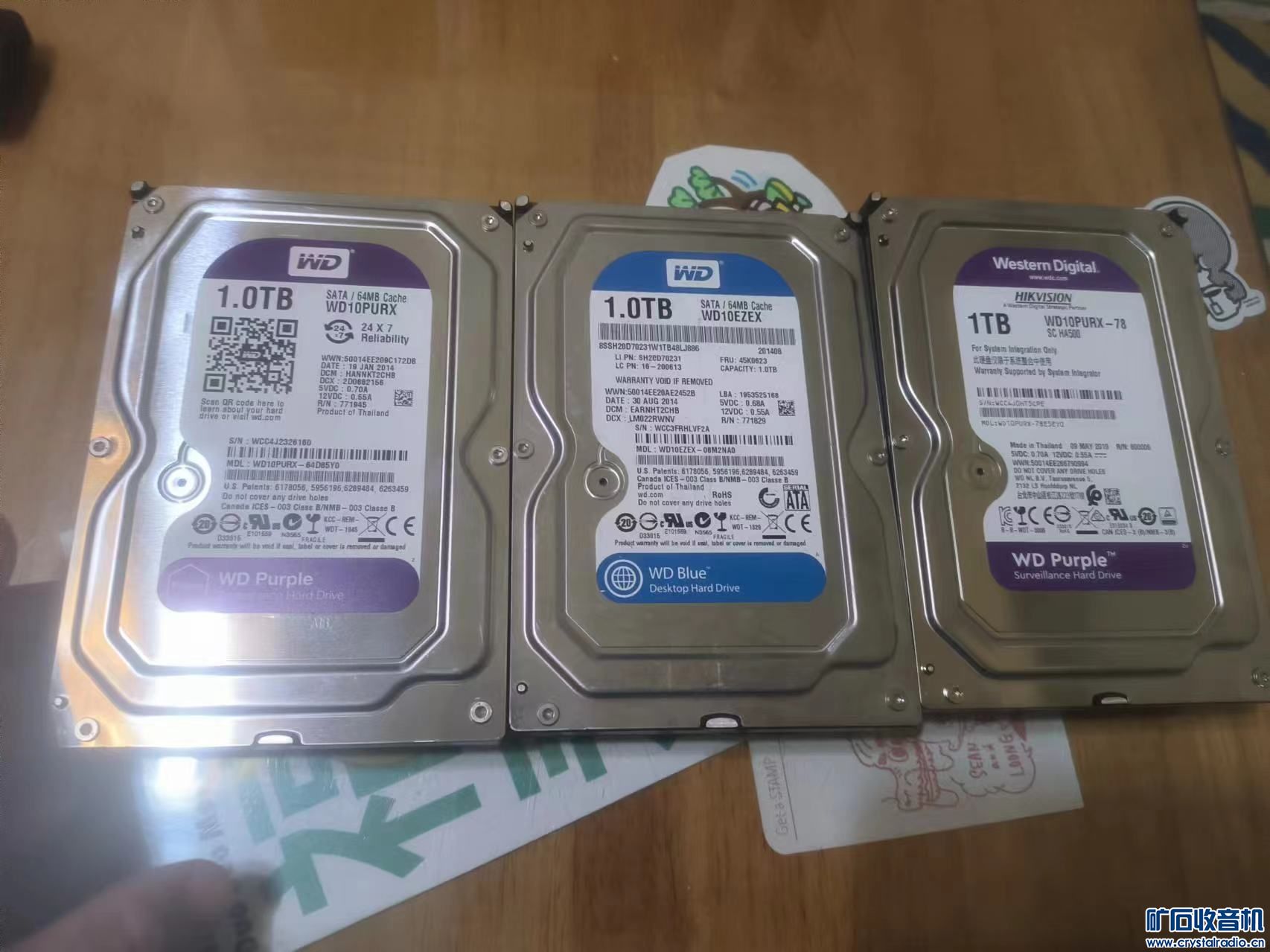 315419003.jpg