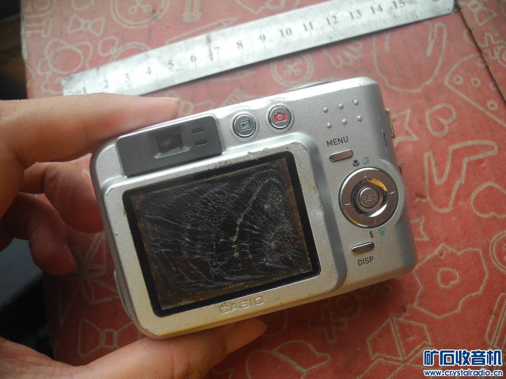 DSCN5558.JPG