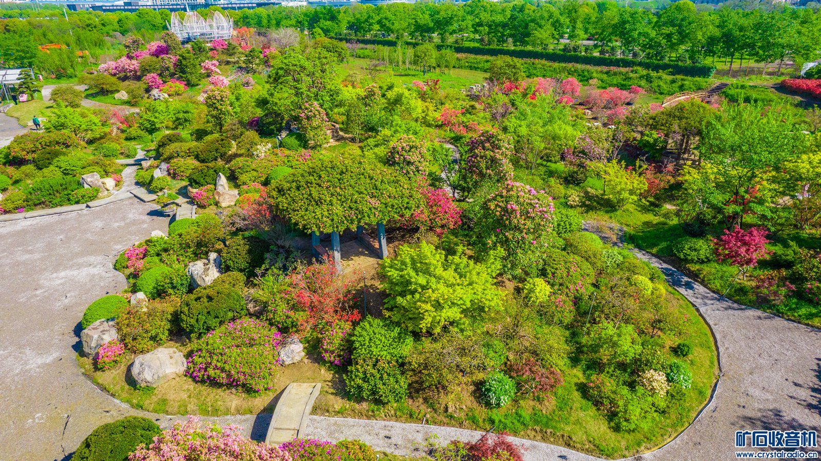 DJI_0221.jpg