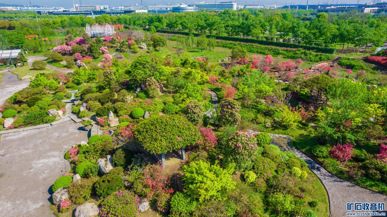 DJI_0220.jpg