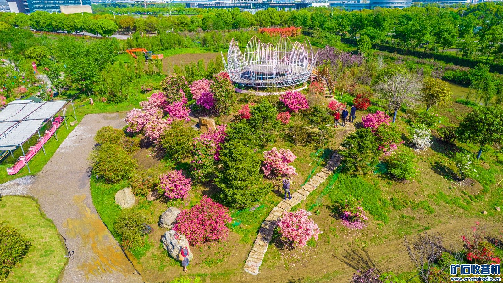 DJI_0228.jpg