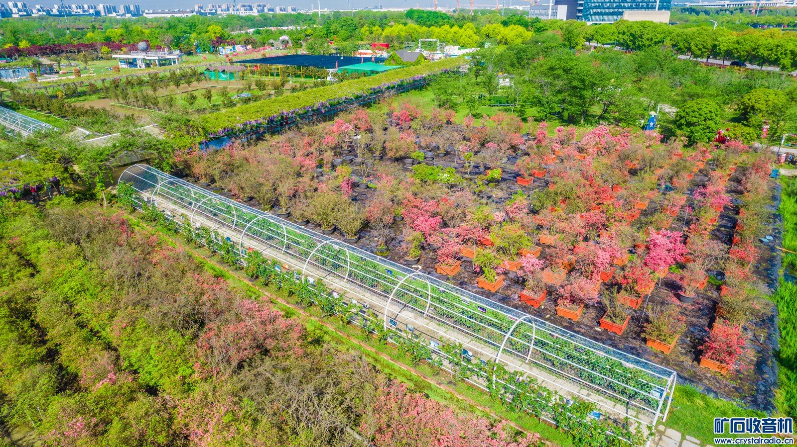 DJI_0232.jpg