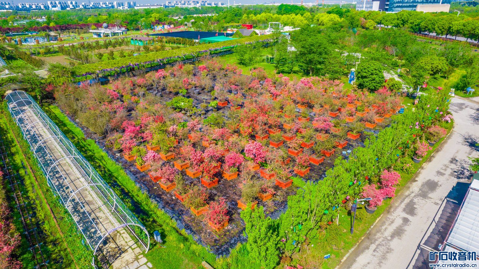 DJI_0230.jpg