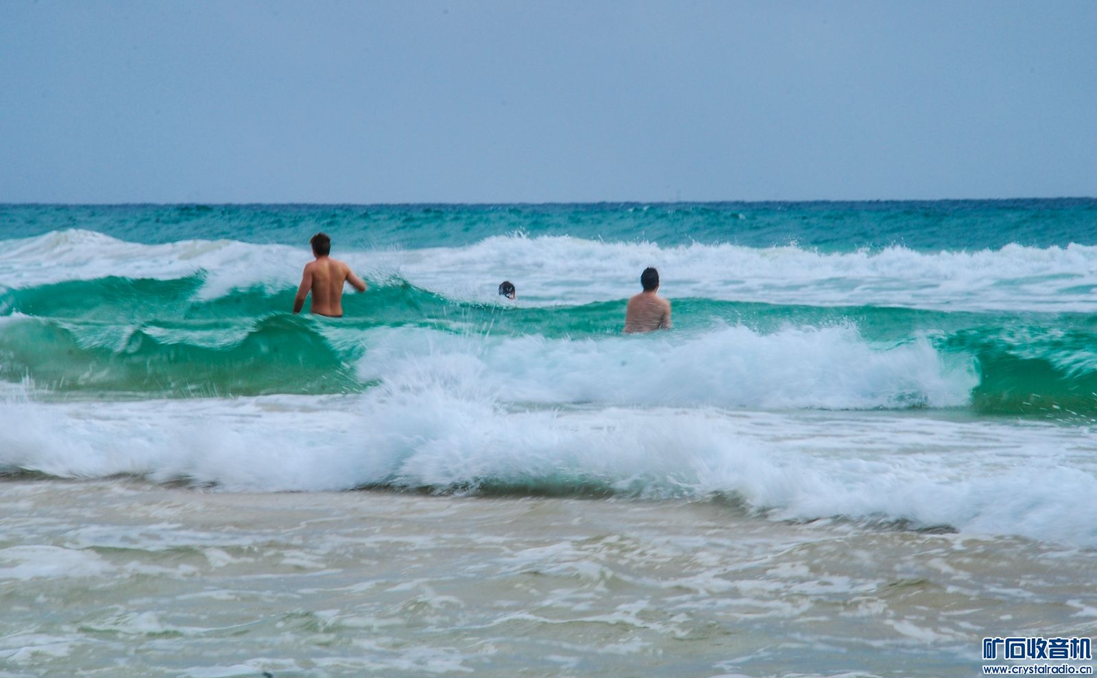 DSC_0224.JPG