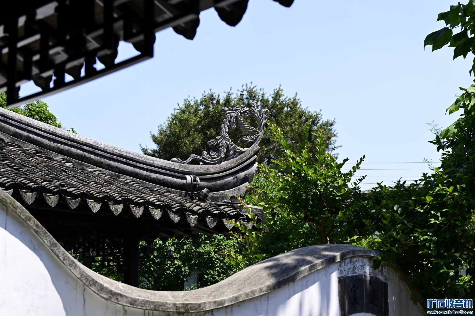 _DSC9804.JPG
