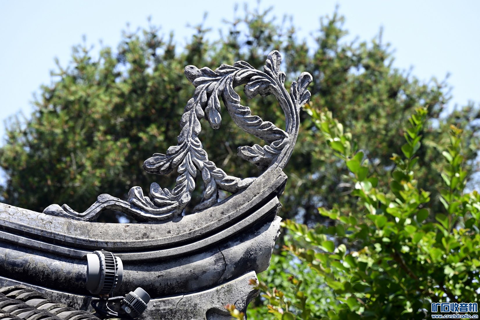 _DSC9805.JPG