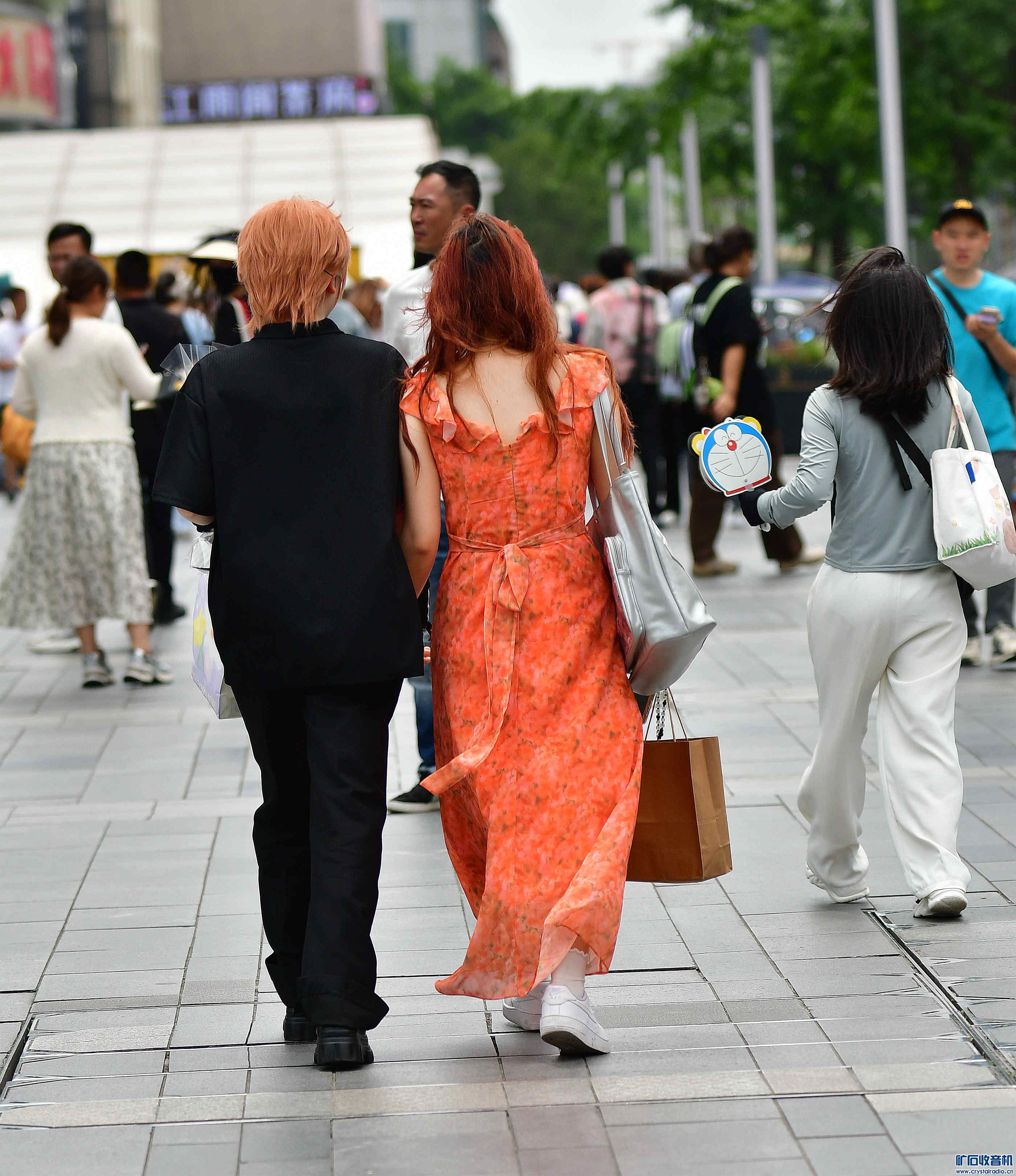 DSC_1903_@10.jpg