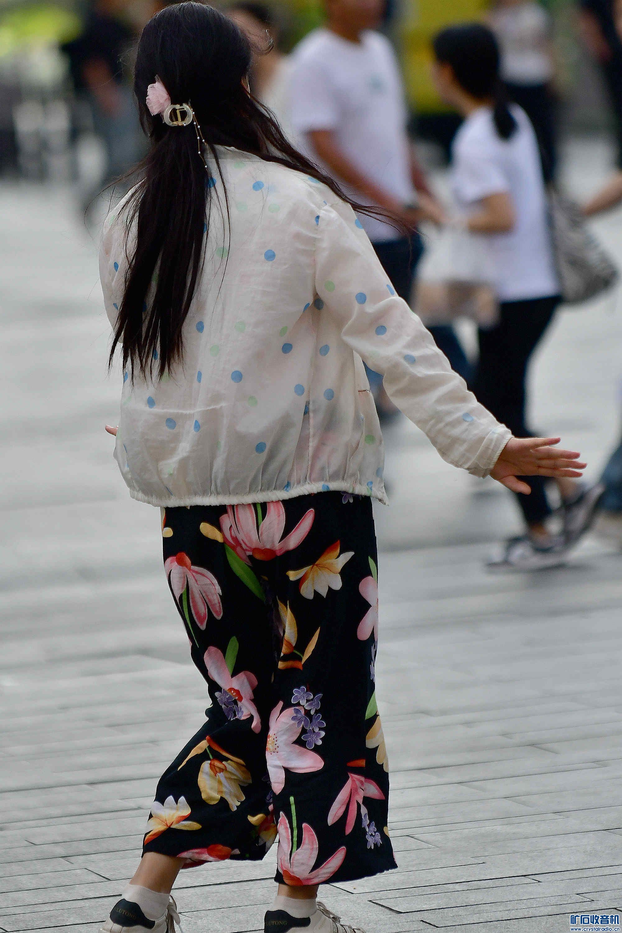 DSC_1903_@11.jpg