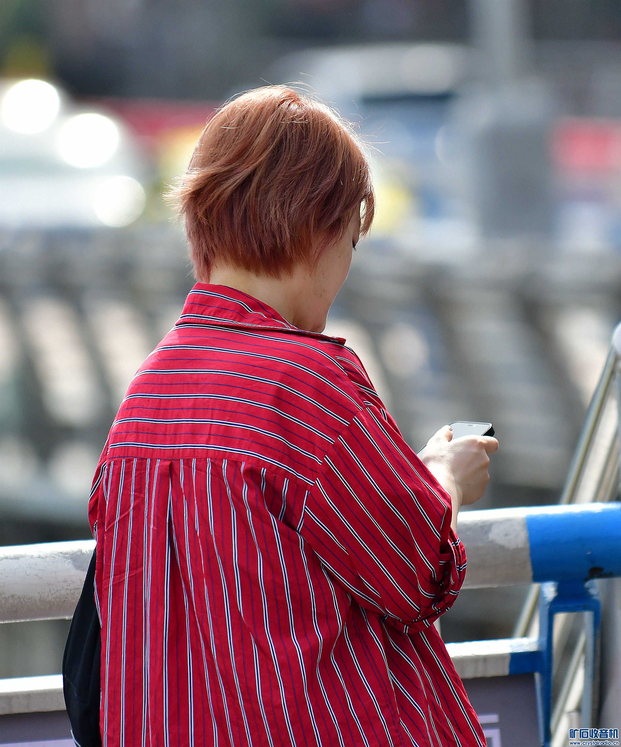 DSC_1903_@20.jpg
