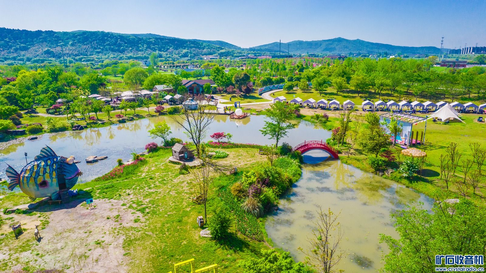 DJI_0266.jpg