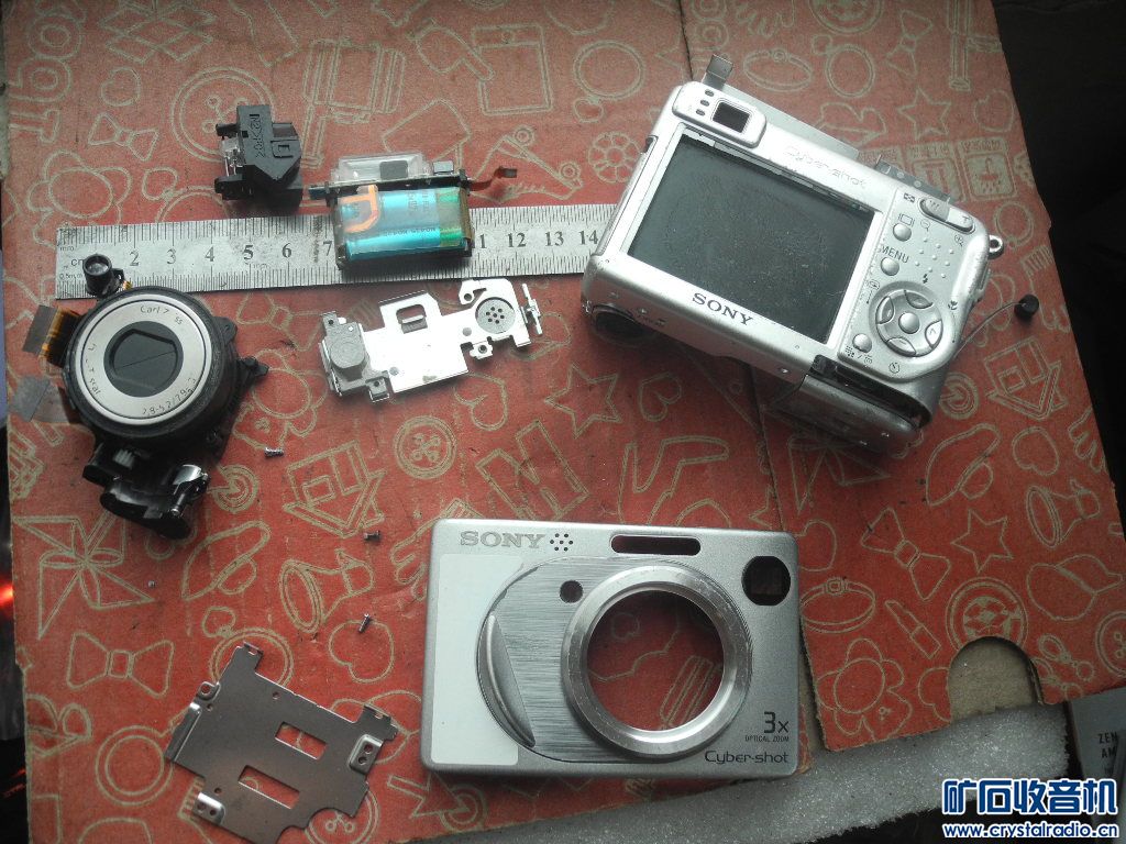 DSCN6338.JPG