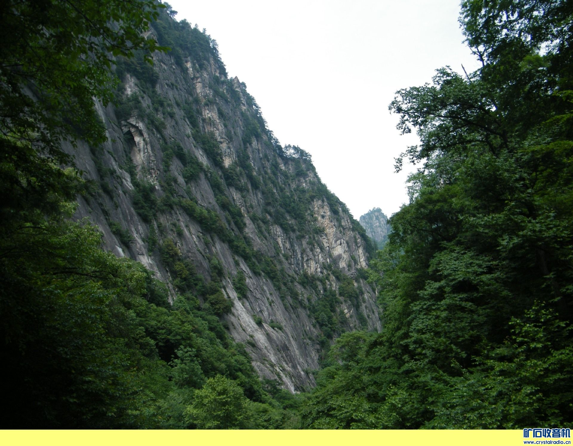 DSCF6739.jpg