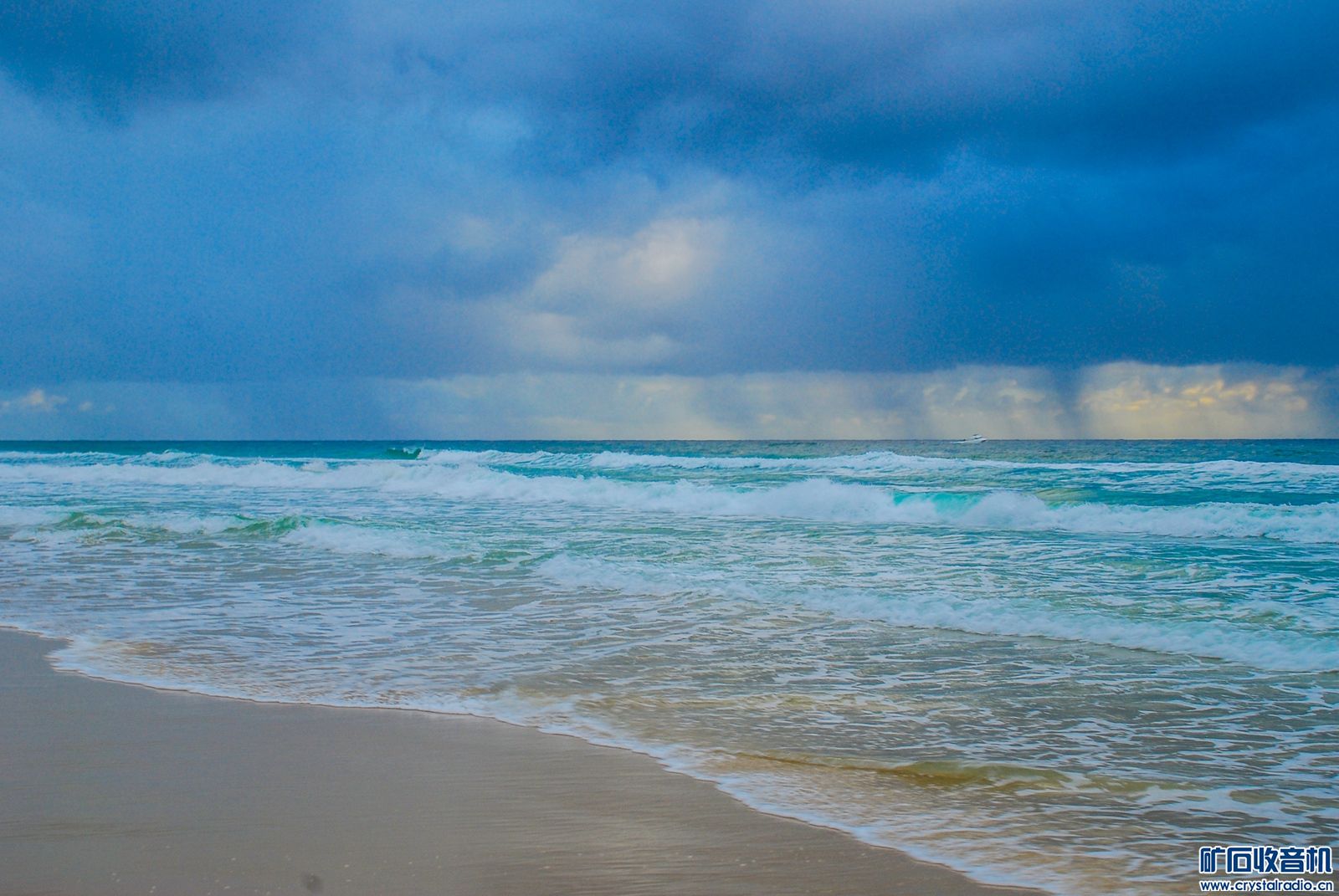 DSC_0145.JPG