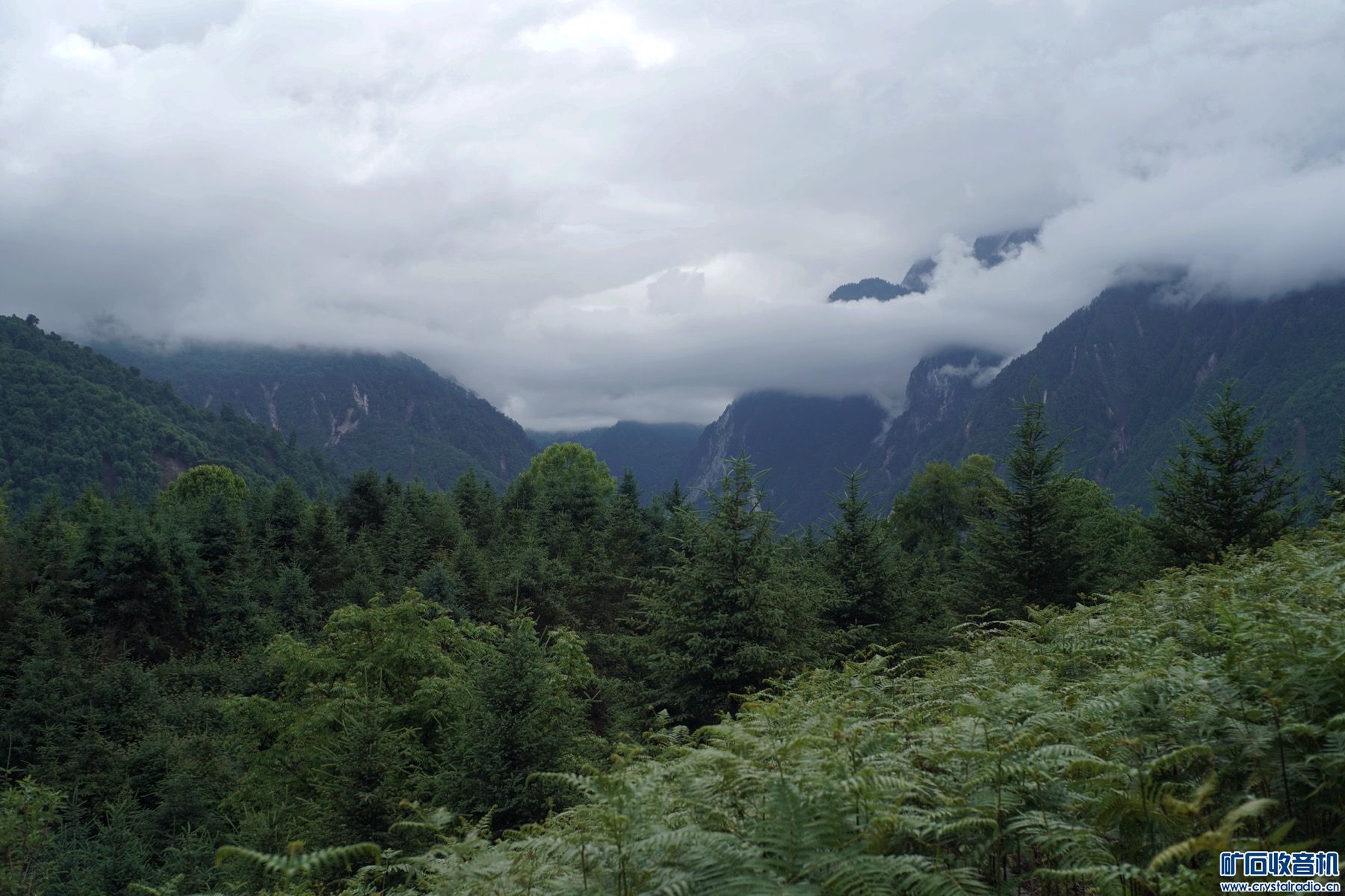 E9D04977-D27D-442F-929E-A03EC2181725.jpeg
