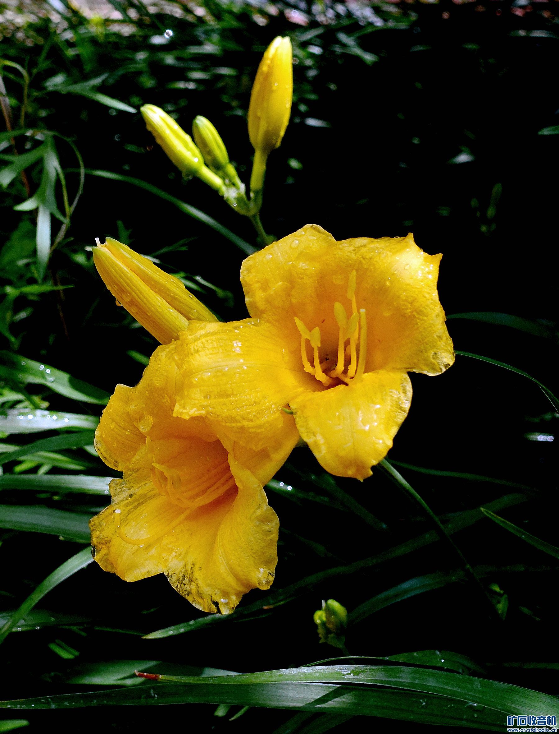 DSC05661.jpg