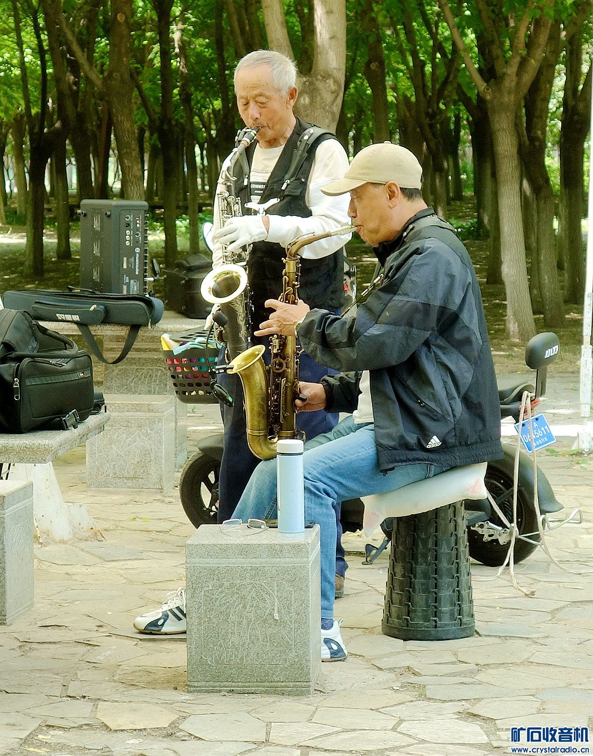 DSC03162.jpg