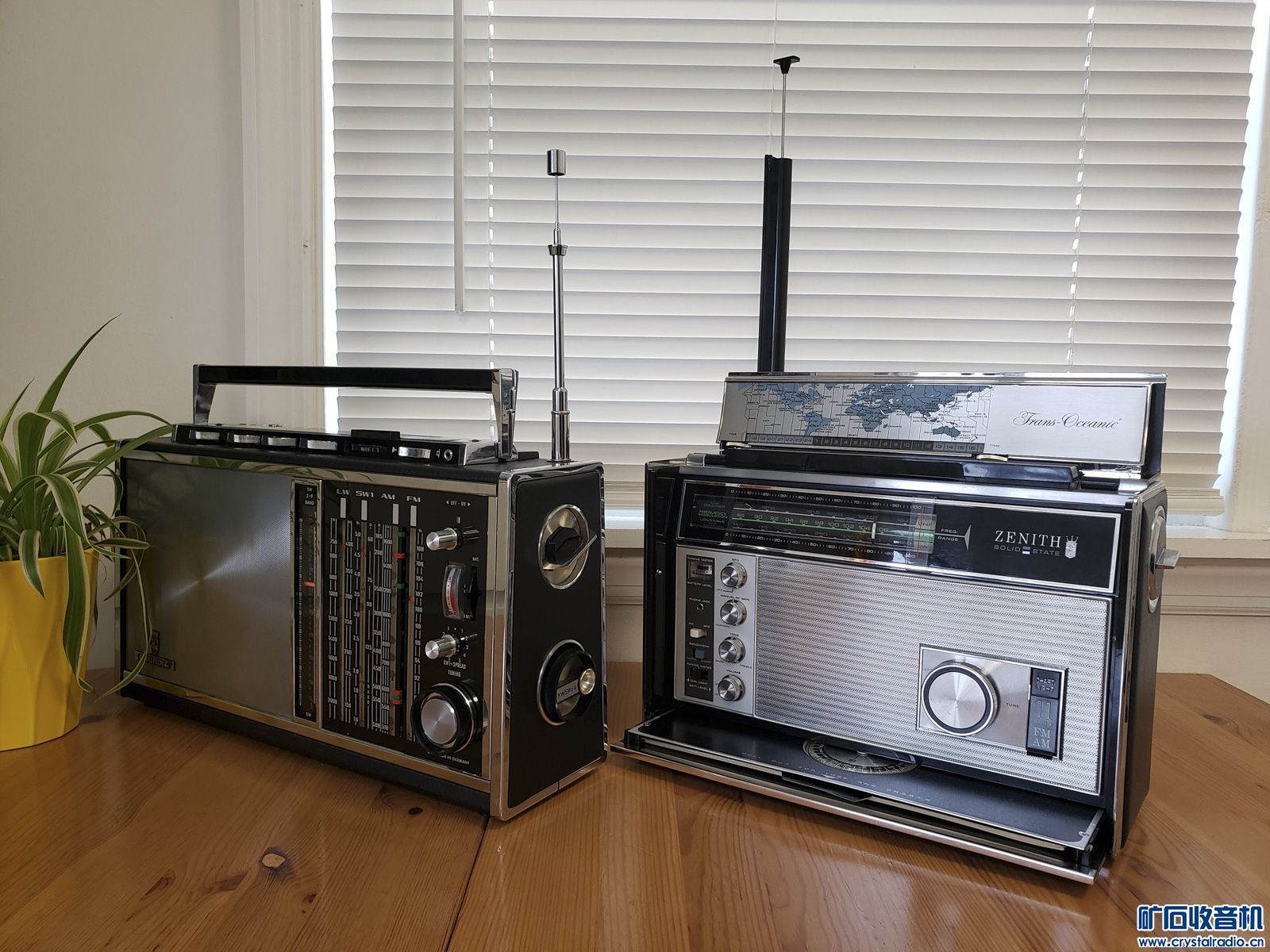 053703xj9rplf86596r9sh.jpg