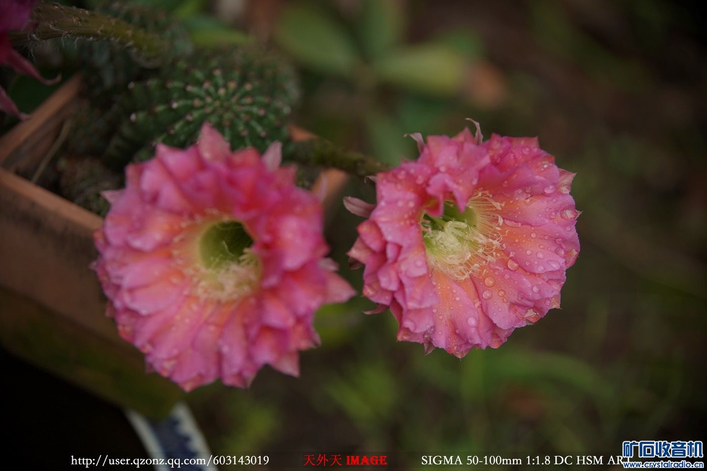 B36C3DB2-8783-4B44-BEFC-FEAACDA694F0.jpeg
