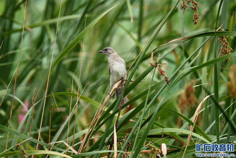 DSC_5633_.jpg