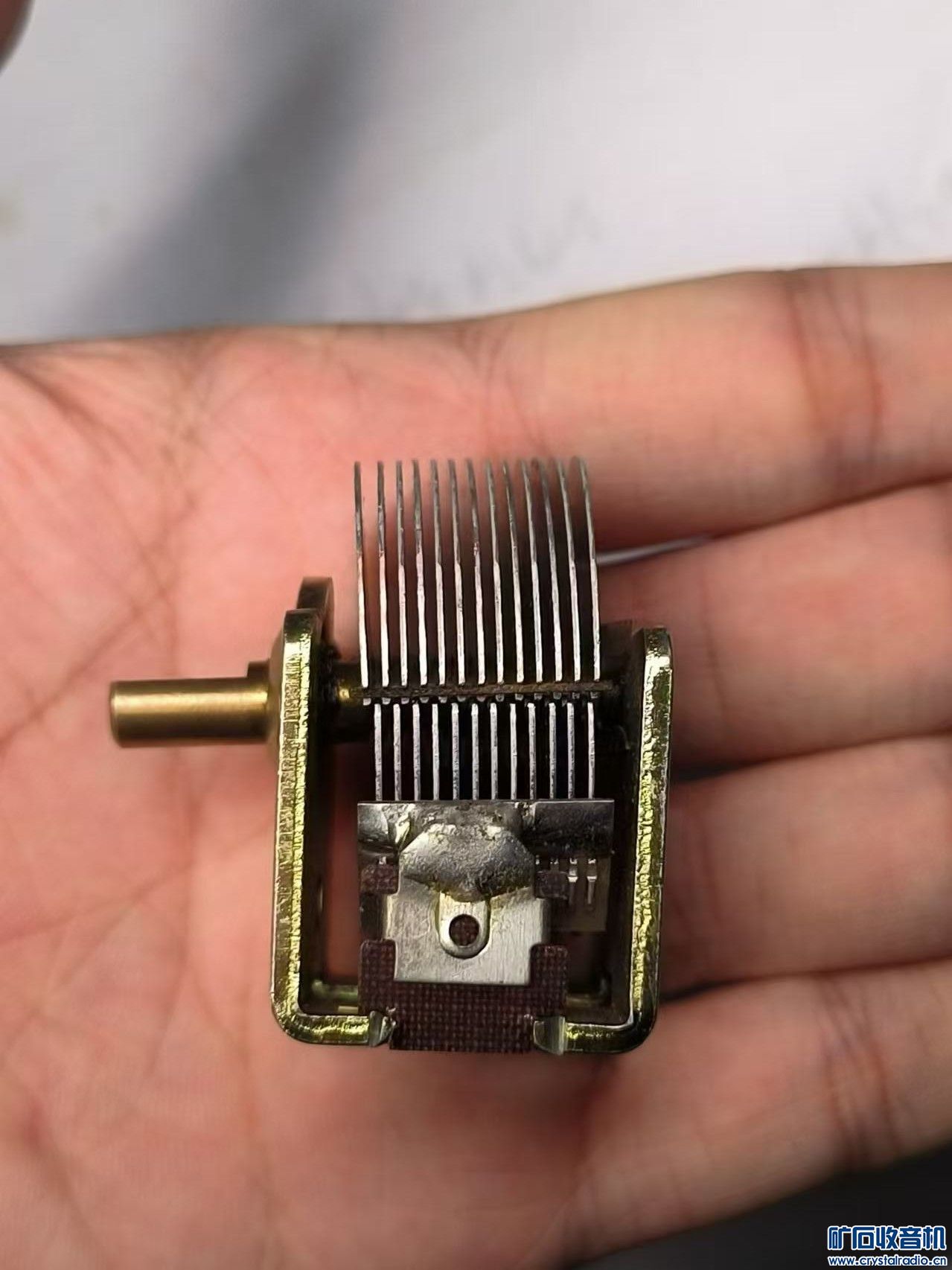 255.jpg