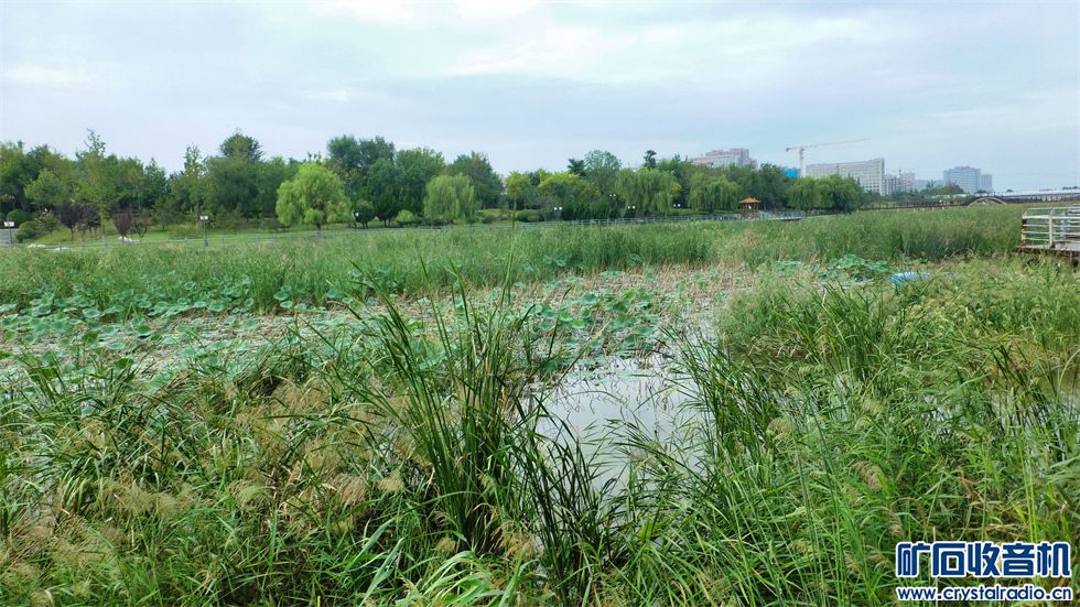 P1000232__.jpg