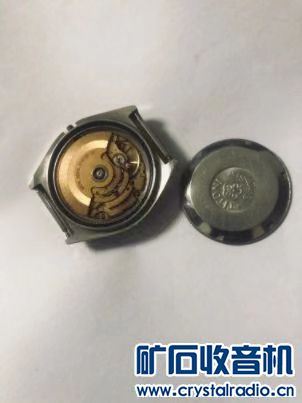 210730hayp1aprplabrblb.jpg