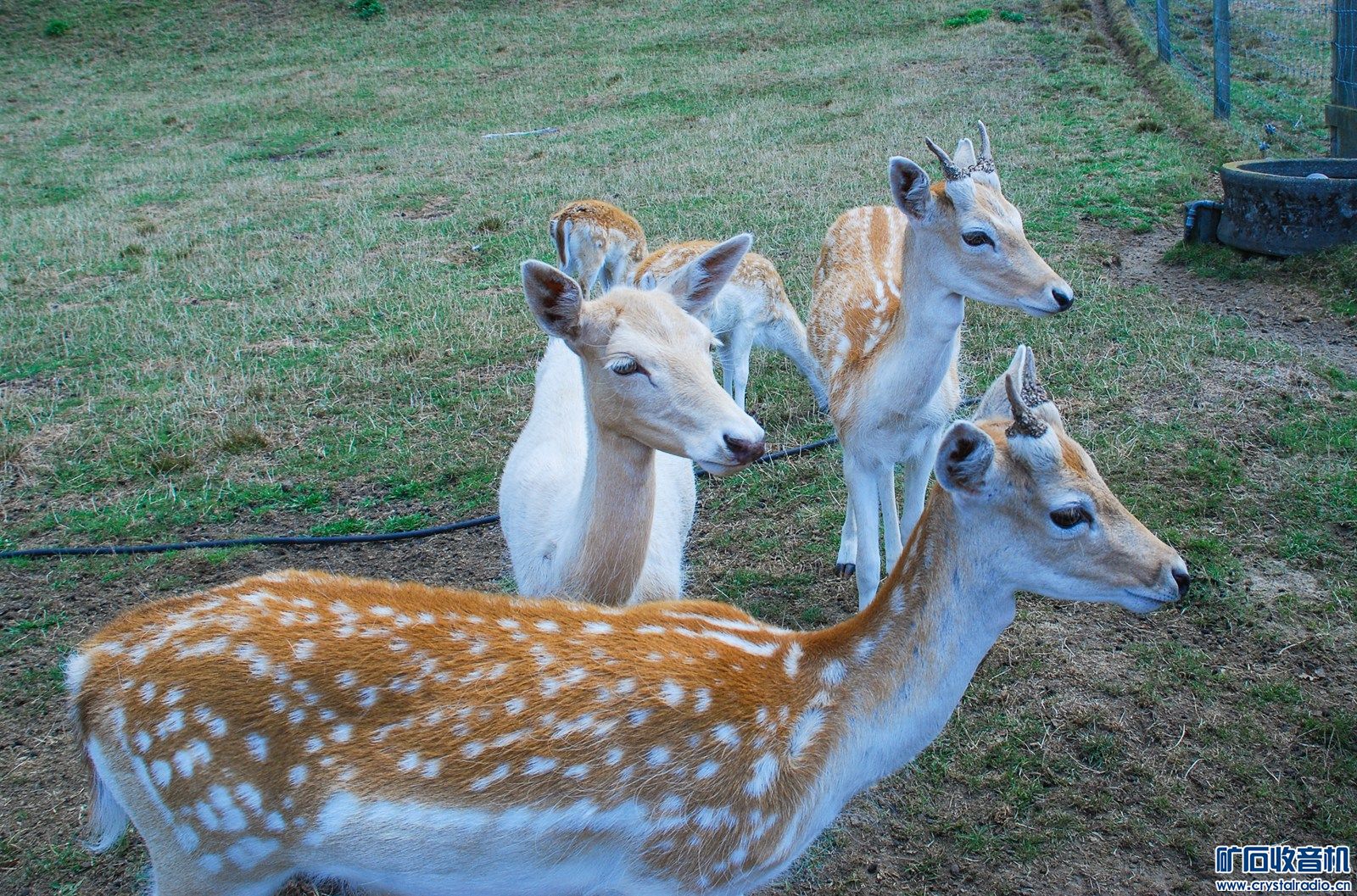 DSC_0293.JPG