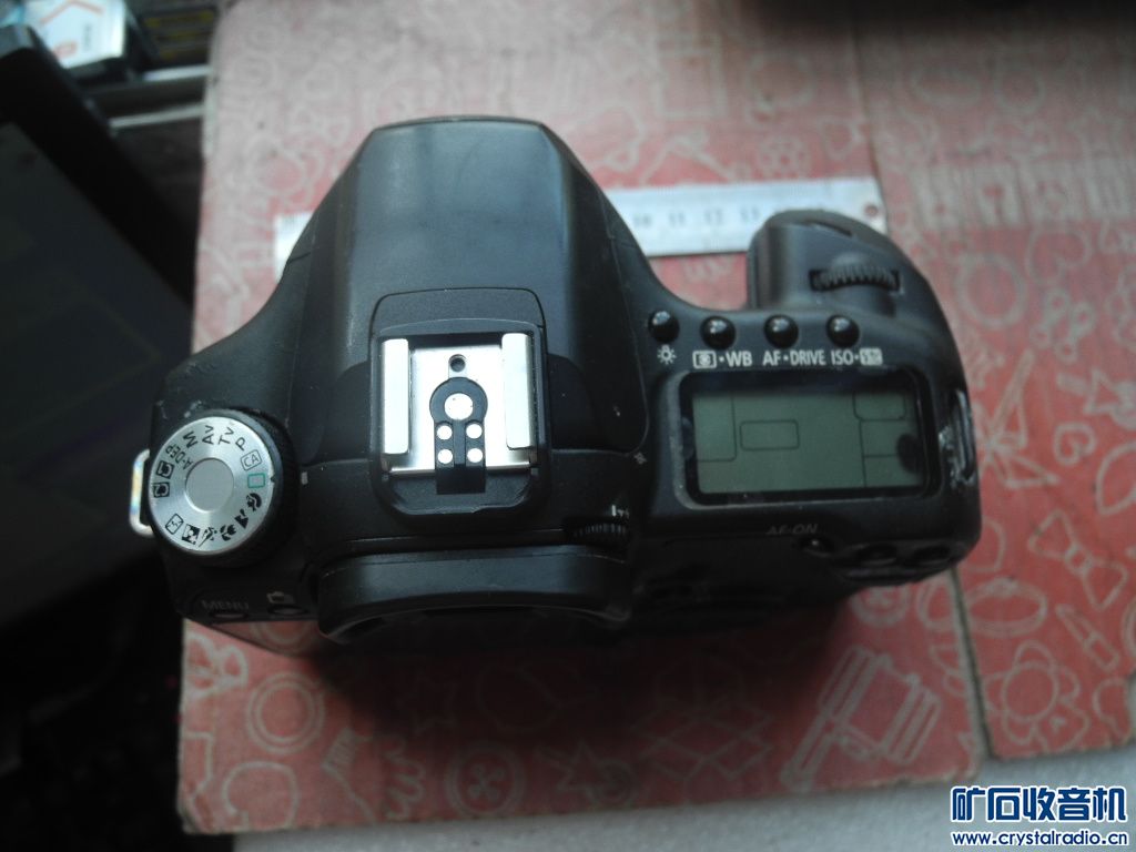 DSCN6056.JPG
