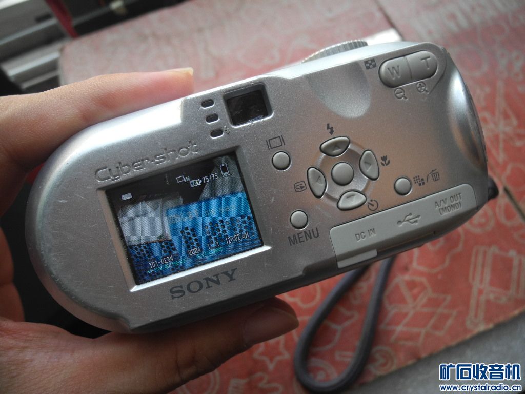 DSCN6091.JPG