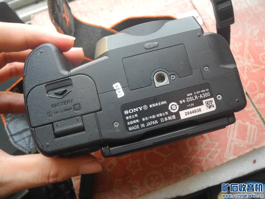 DSCN6098.JPG