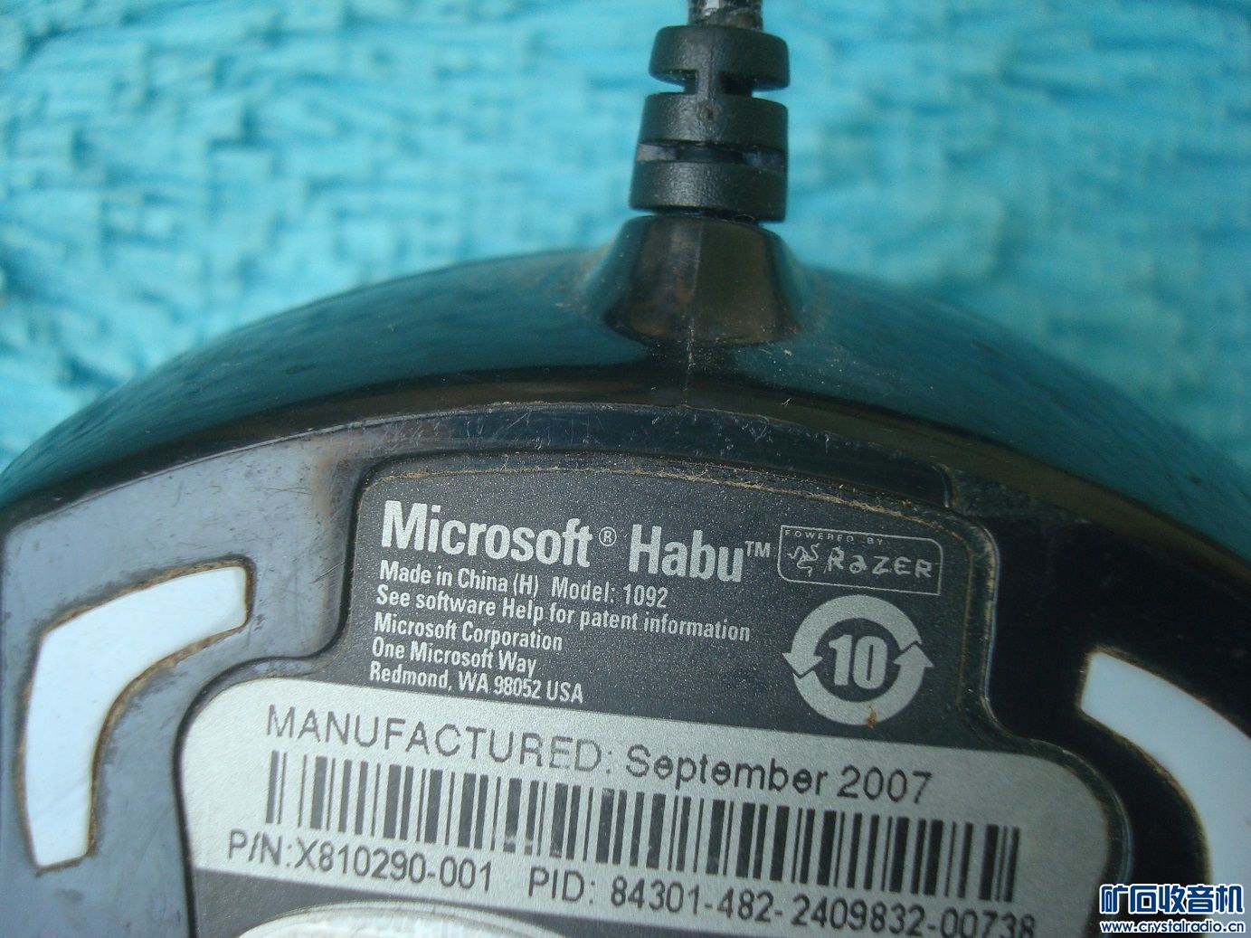 ΢habu3.jpg