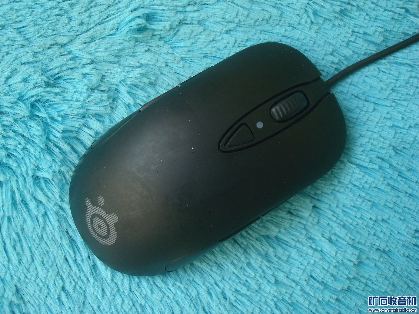 sensei1.jpg