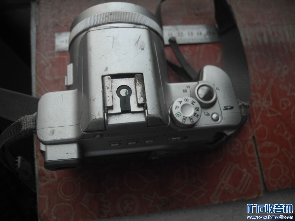 DSCN1597.JPG