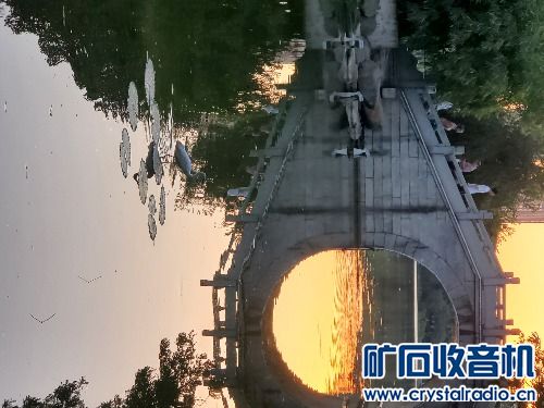 20241108_173454.jpg