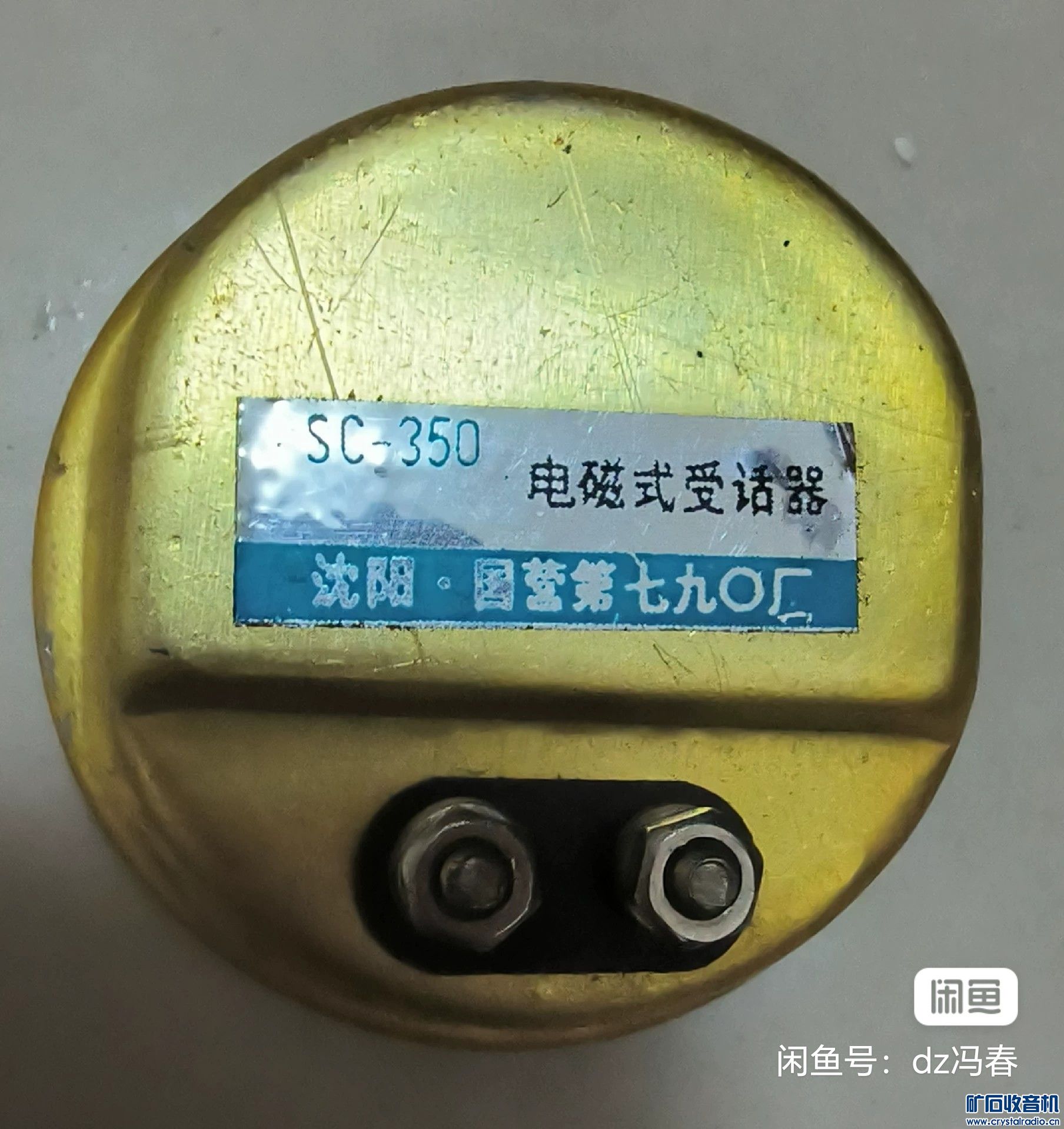 image_editor_1733272114258.jpg