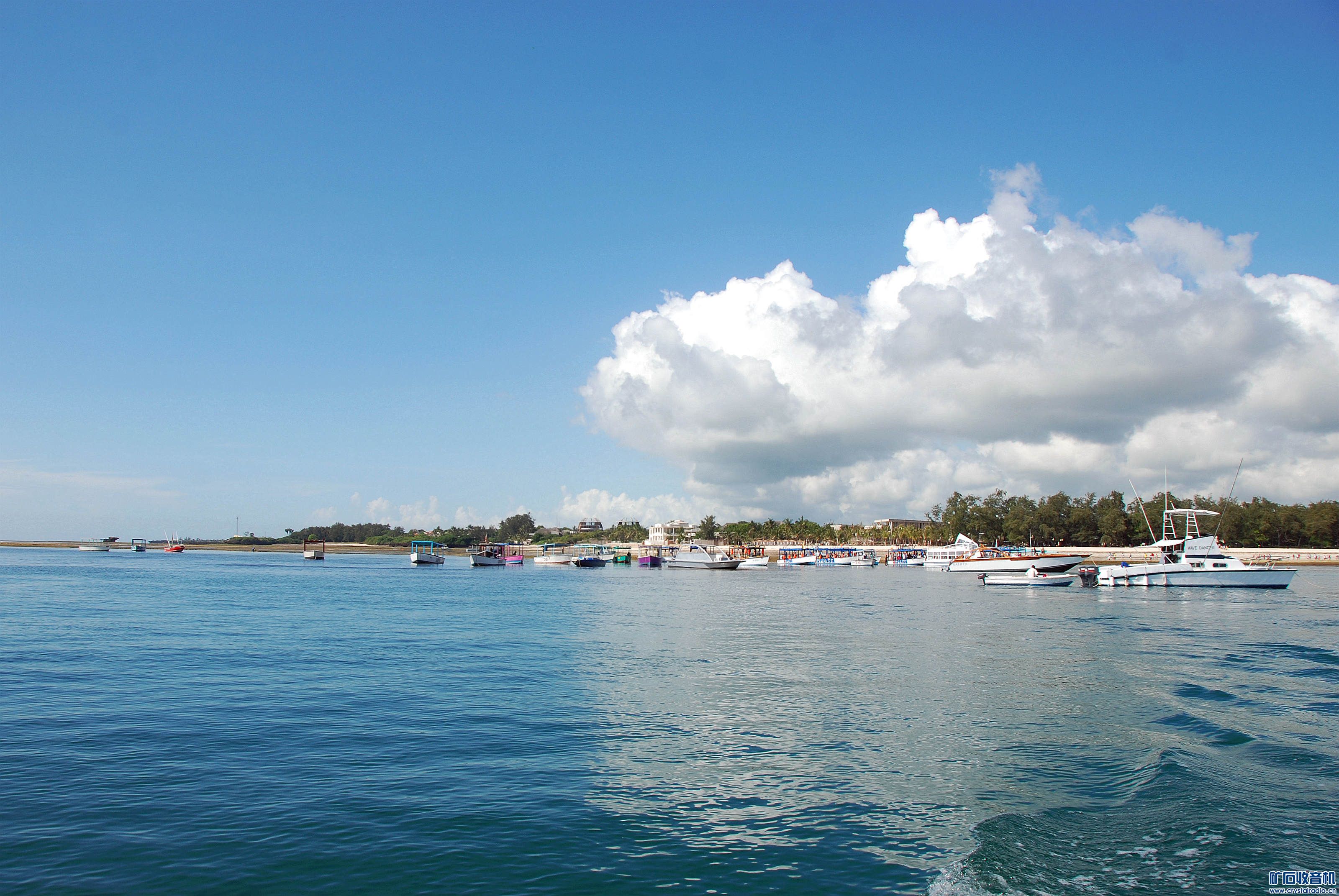 DSC_0099_@03.jpg