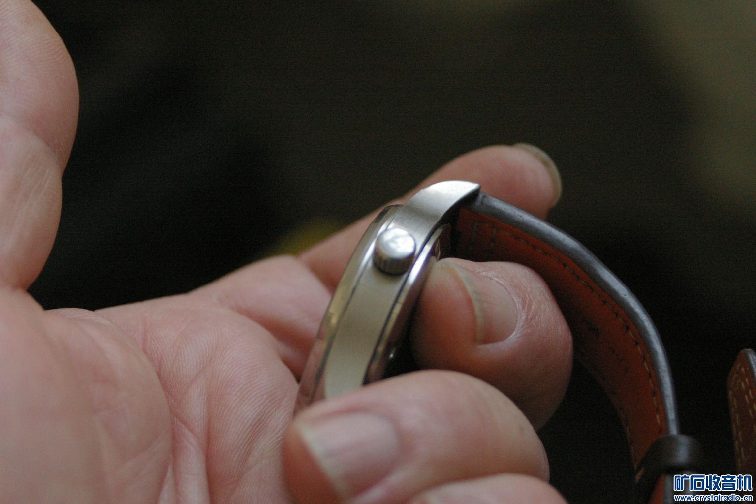 IMGP0993.JPG