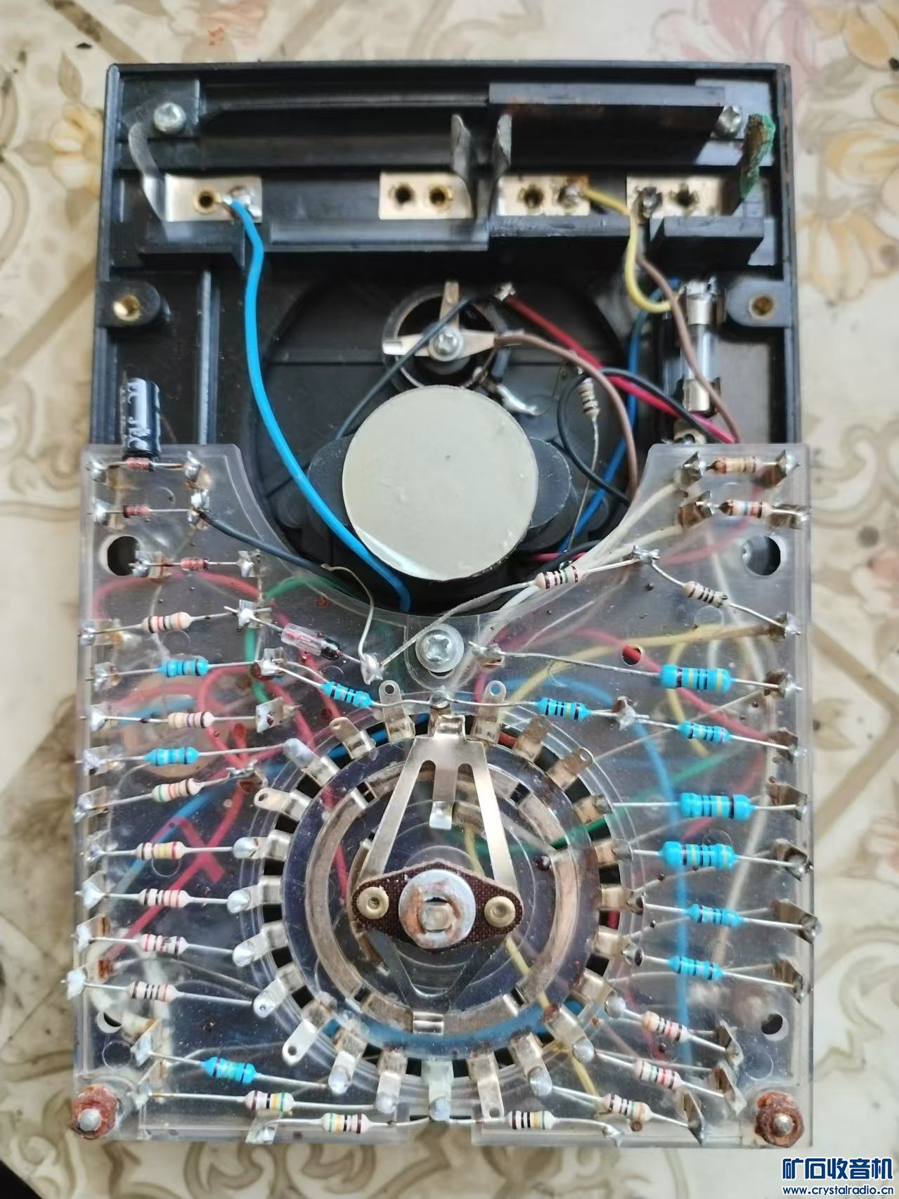 mmexport1735459956406.jpg
