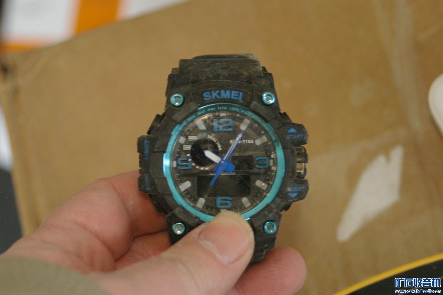 IMGP3118.JPG